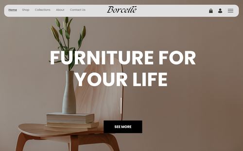 Furniture website design