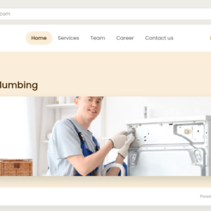 Plumbing Services Home